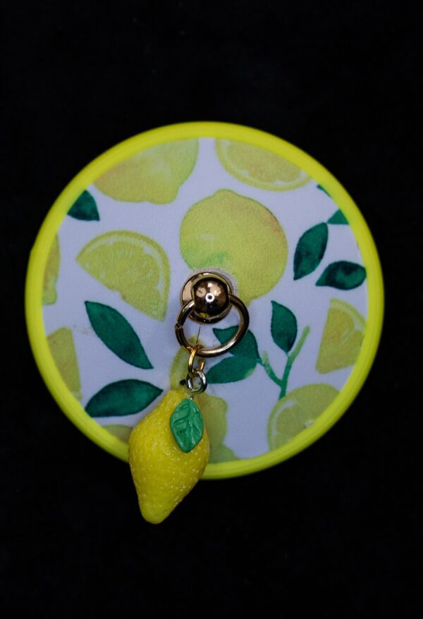 Citrons – Image 2